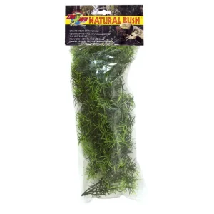 Beliebt Zoomed Medium Cashuarina Kunststoffpflanze, 46 cm